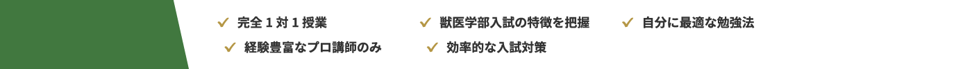 完全1対1授業、獣医学部入試の特徴を把握、自分に最適な勉強法、経験豊富なプロ講師のみ、効率的な入試対策